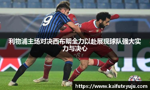 xc体育